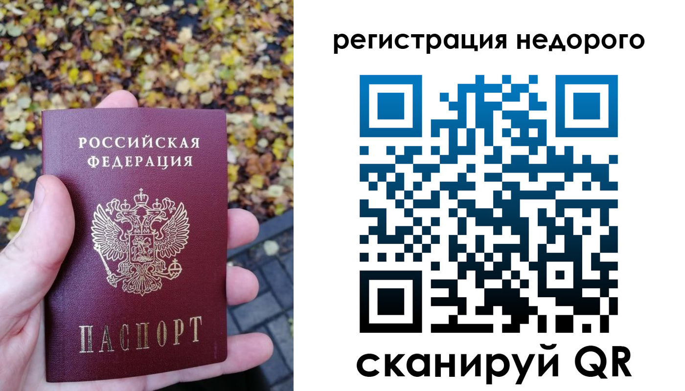 прописка для школы в Талице
